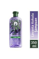 Şampuan Herbal Essences 350 ml Kabarıklık Önleyici