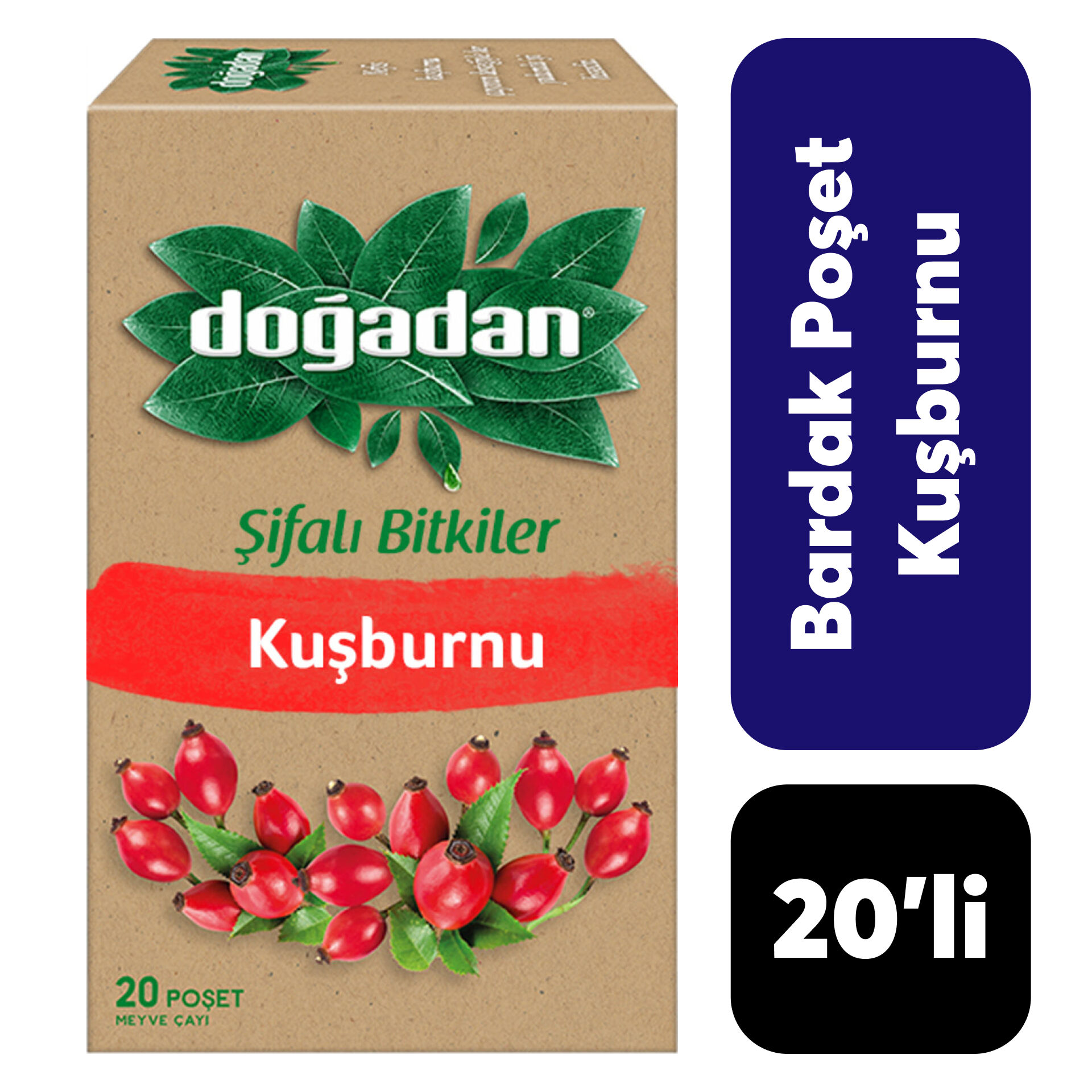 .Doğadan 20’li Kuşburnu