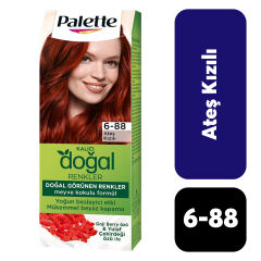 Doğal Palette .6-88 Sonbahar Kızılı
