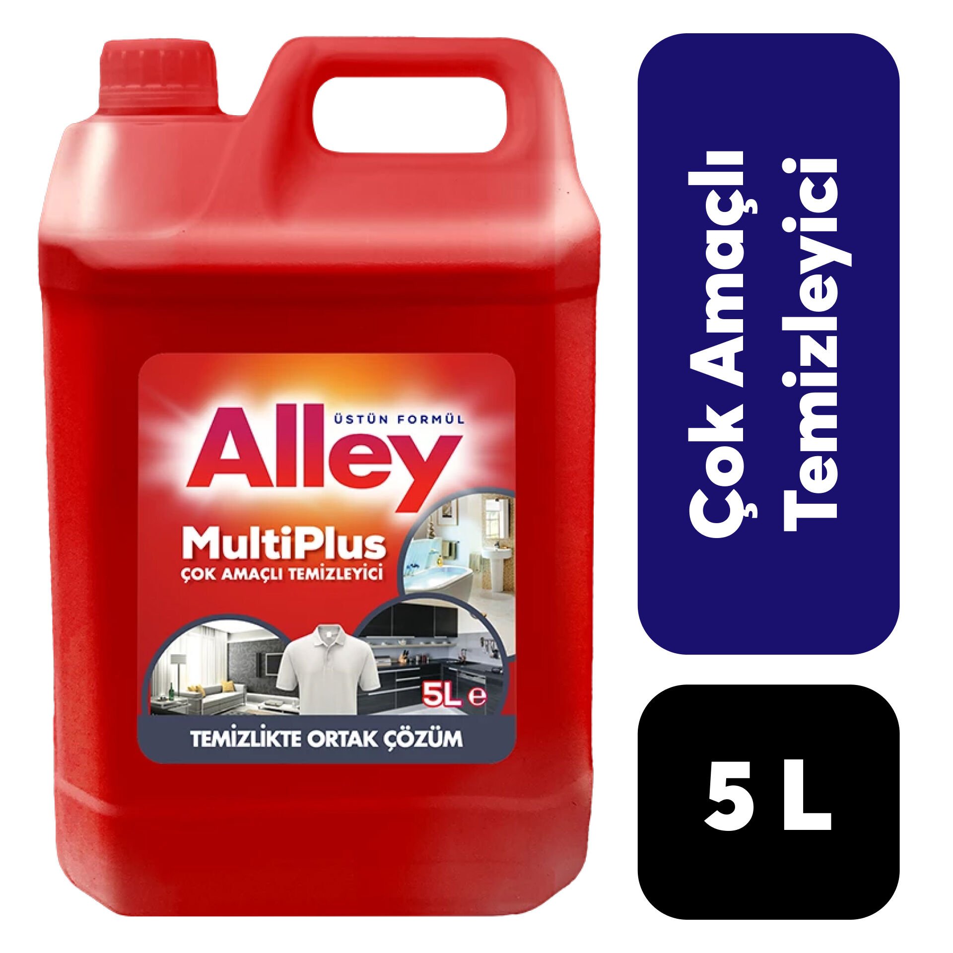 Alley Temizleyici Çok Amaçlı 5 L Multiplus