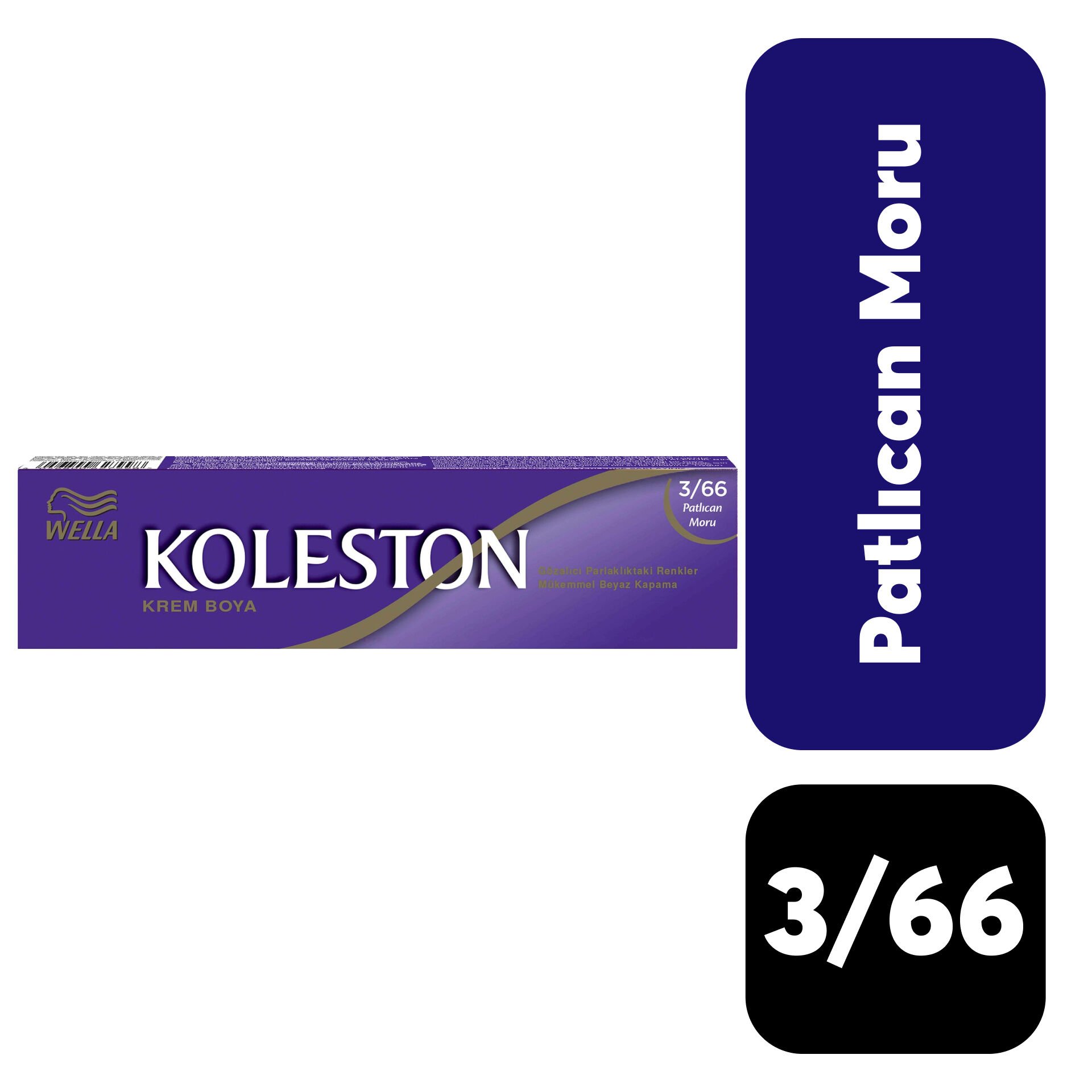 Koleston Tüp .3/66 Patlıcan Moru