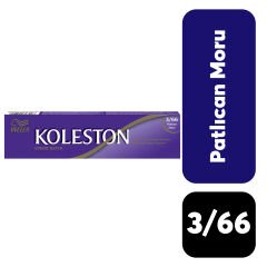 Koleston Tüp .3/66 Patlıcan Moru