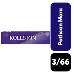 Koleston Tüp .3/66 Patlıcan Moru