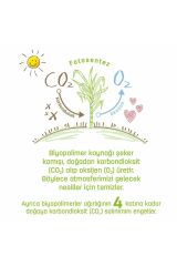 Islak Mendil Sleepy 40'lı Bio Natural