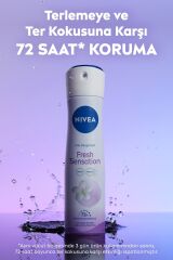 Deodorant Kadın Nivea 150 ml Fresh Sensation