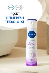 Deodorant Kadın Nivea 150 ml Fresh Sensation