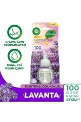 Air Wick Elektrikli Oda Kokusu Lavanta