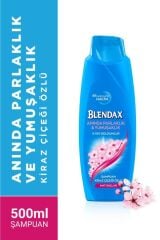 Blendax Şampuan 500 ml Mat Saçlar