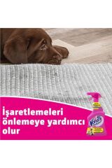 Sprey Vanish Kosla 500 ml Leke Çıkarıcı