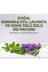 Diş Macunu Eyüp Sabri Tuncer Doğal 90 ml Karabaş Otu - Lavanta ve Kekik Özlü