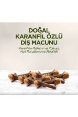 .Eyüp Sabri Tuncer Doğal Diş Macunu 90 ml Karanfil Özlü