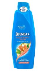 Şampuan Blendax 500 Ml Badem Yağı Özlü