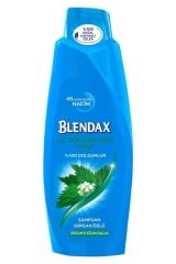 Şampuan Blendax 500 ml Saç Dökülmelerine Karşi Isirgan Özlü