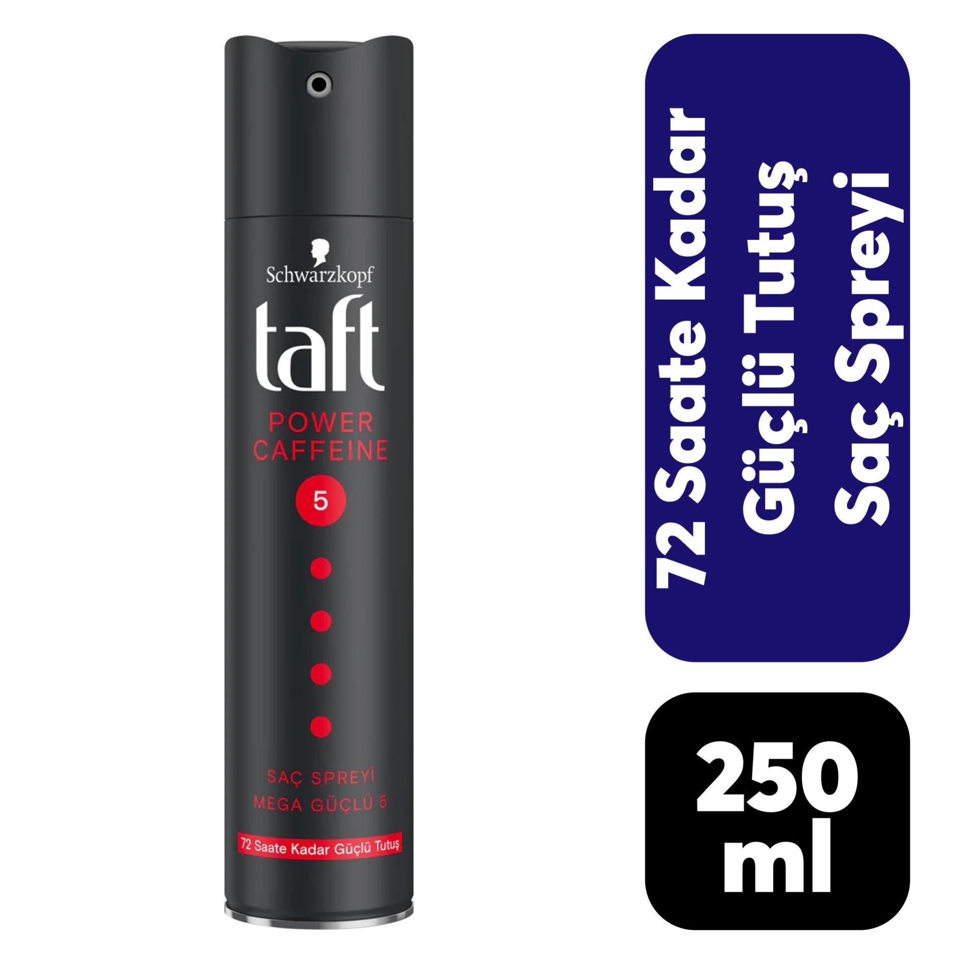 Taft Saç Spreyi 250 ml Power Hold