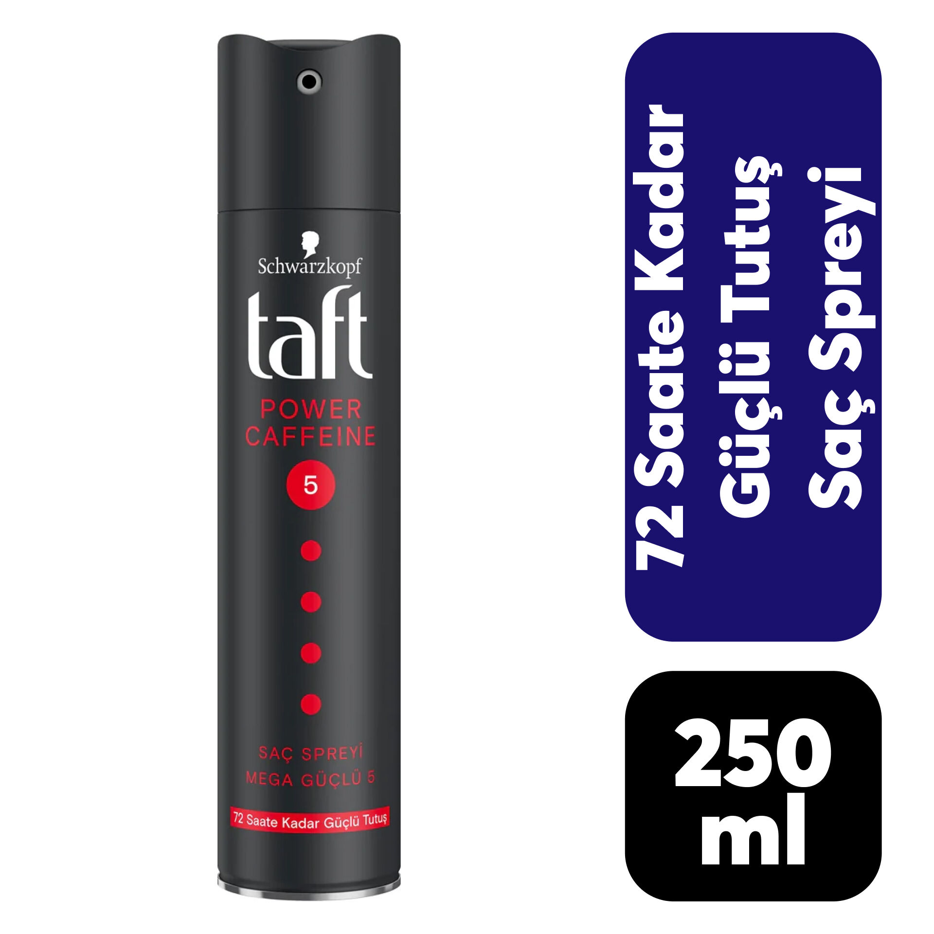 Saç Spreyi Taft 250 Ml Power Hold