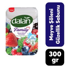 Sabun Dalan Family 300 Gr Meyve Şöleni