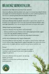 Ceremony Saç Uzatma Etkili Biberiye Bakım Jeli 200 ml